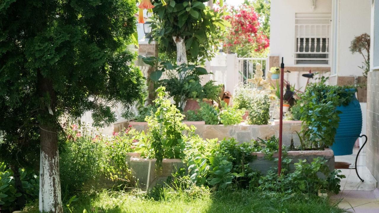 פראליה דיוניסיו Niki Apartments מראה חיצוני תמונה