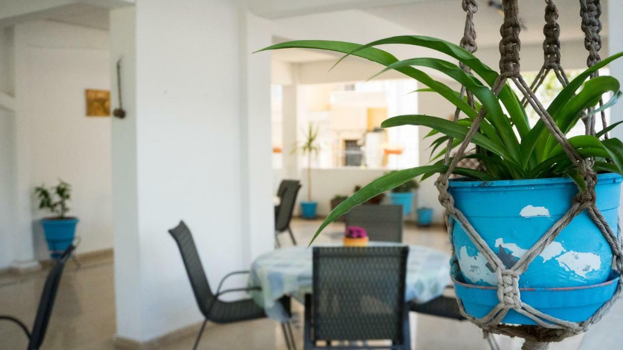 פראליה דיוניסיו Niki Apartments מראה חיצוני תמונה